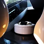 Bessahotel Boavista Ξενοδοχείο Πόρτο